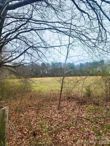 $1,375,000 | 0 Spies Road, Star, NC 27356