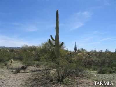 0 Unassigned Marana, AZ 85658 - Photo 12 of 17