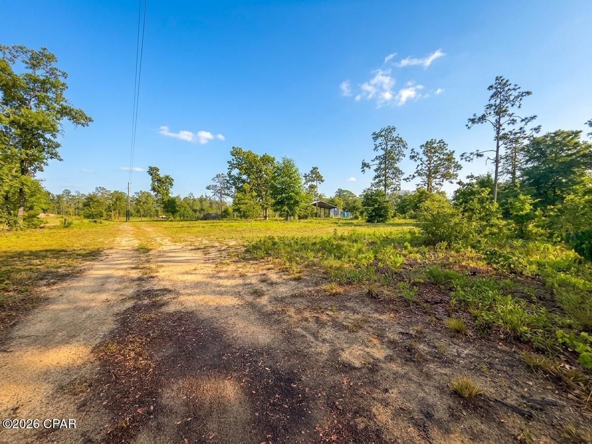 268 Horse Farm Road Marianna, FL 32448 - Photo 13 of 21