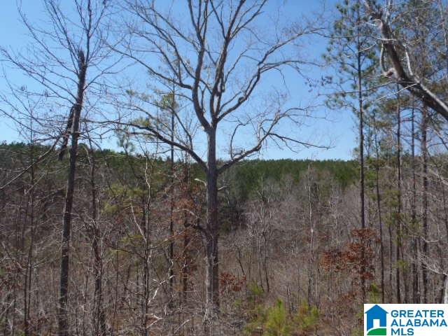 0 Shocco Springs Road, Unit 40 5 AC Talladega, AL 35160 - Photo 20 of 30
