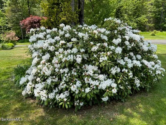 $795,000 | 4 Birch Hill Road, Peru, MA 01235