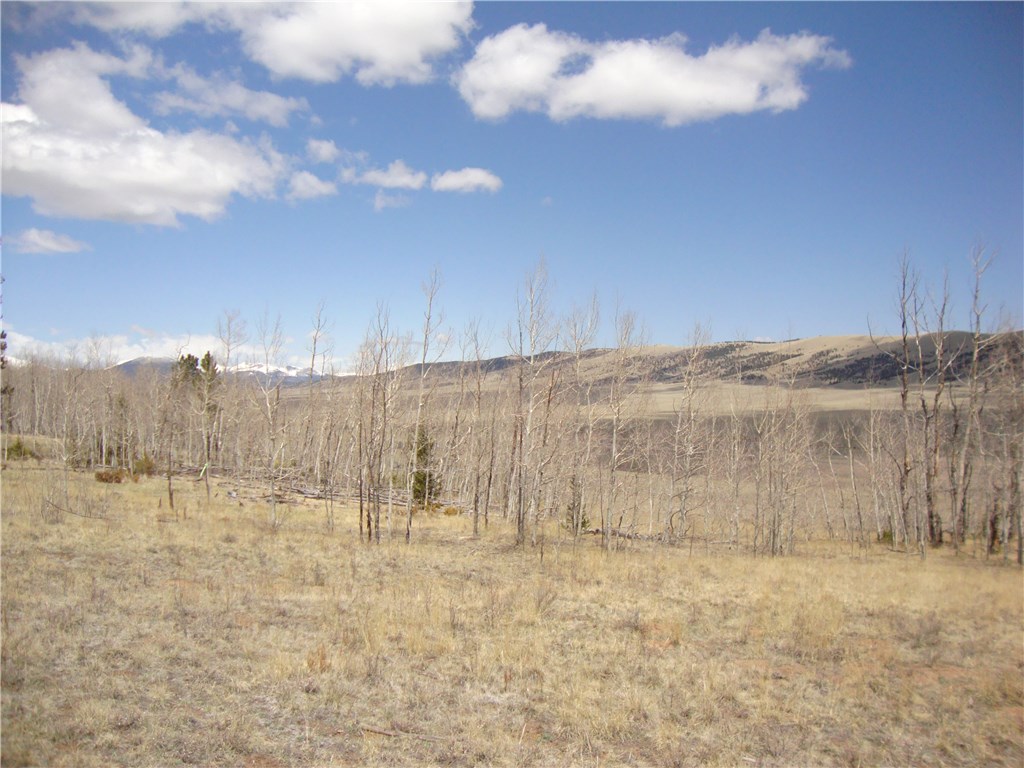 Lot 103 Redhill Road Fairplay, CO 80440 - Photo 19 of 24 Gallery Image 19