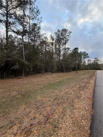 $199,500 | Tbd 6.982-ac Providence Estates Road, Amite, LA 70422