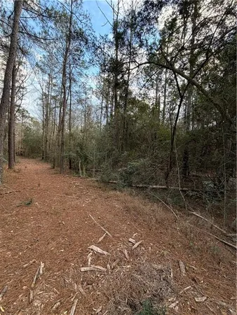 $140,000 | Tbd 6.982-ac Providence Estates Road, Amite, LA 70422
