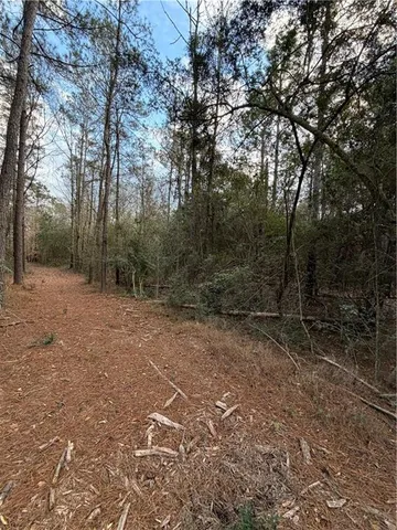 $199,500 | Tbd 6.982-ac Providence Estates Road, Amite, LA 70422