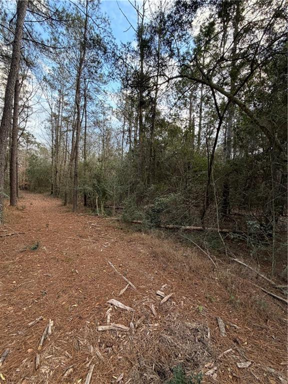 Tbd 6.982-ac Providence Estates Road Amite, LA 70422 - Photo 3 of 6