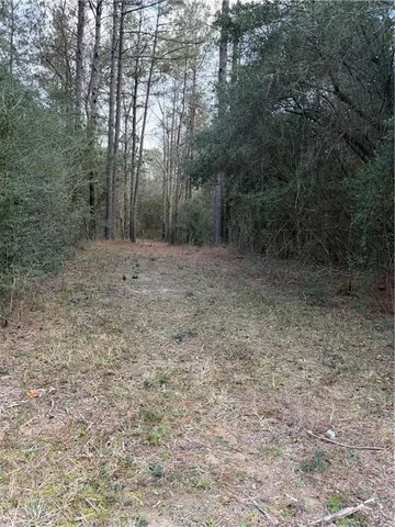 $199,500 | Tbd 6.982-ac Providence Estates Road, Amite, LA 70422