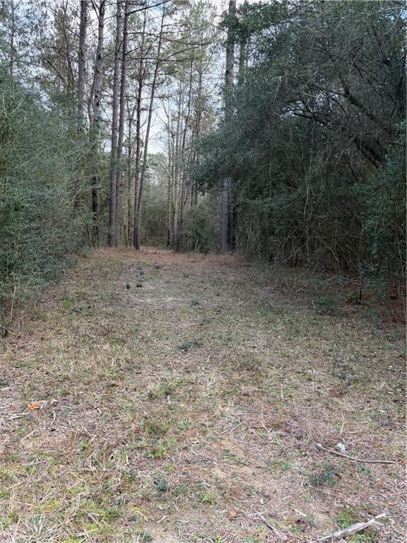 Tbd 6.982-ac Providence Estates Road Amite, LA 70422 - Photo 4 of 6