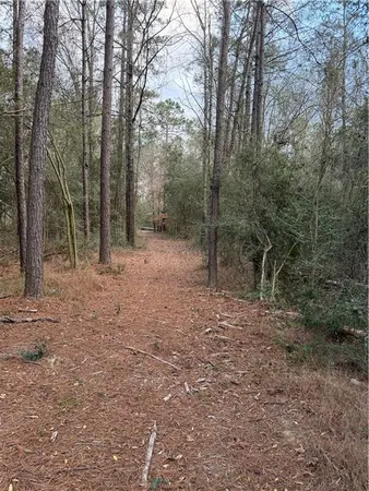 $140,000 | Tbd 6.982-ac Providence Estates Road, Amite, LA 70422