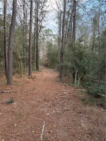 $199,500 | Tbd 6.982-ac Providence Estates Road, Amite, LA 70422