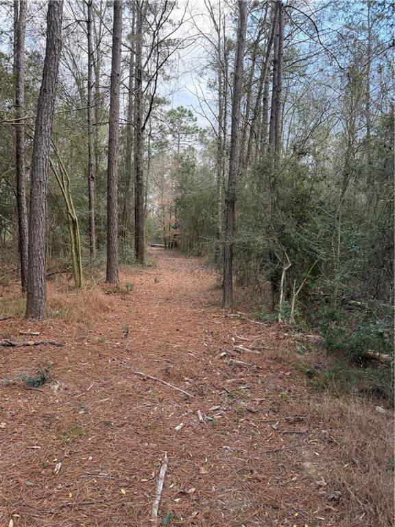 Tbd 6.982-ac Providence Estates Road Amite, LA 70422 - Photo 5 of 6