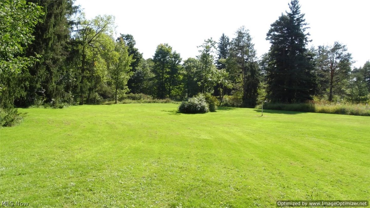 13693 Butternut Road Burton, OH 44021 - Photo 3 of 21
