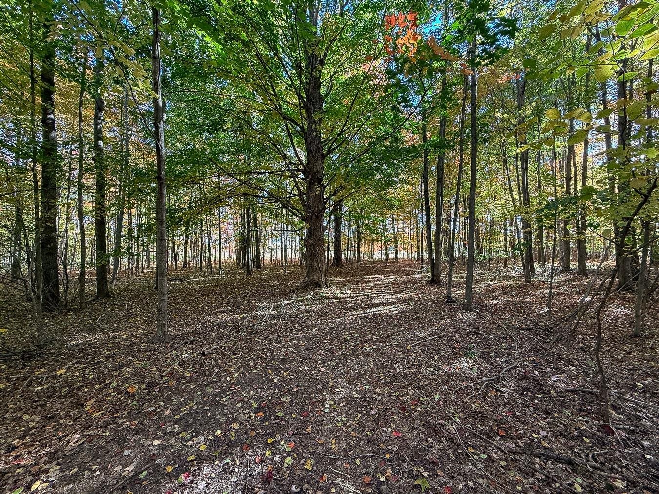 4063 West Curtis Road Coleman, MI 48618 - Photo 17 of 37 Gallery Image 17