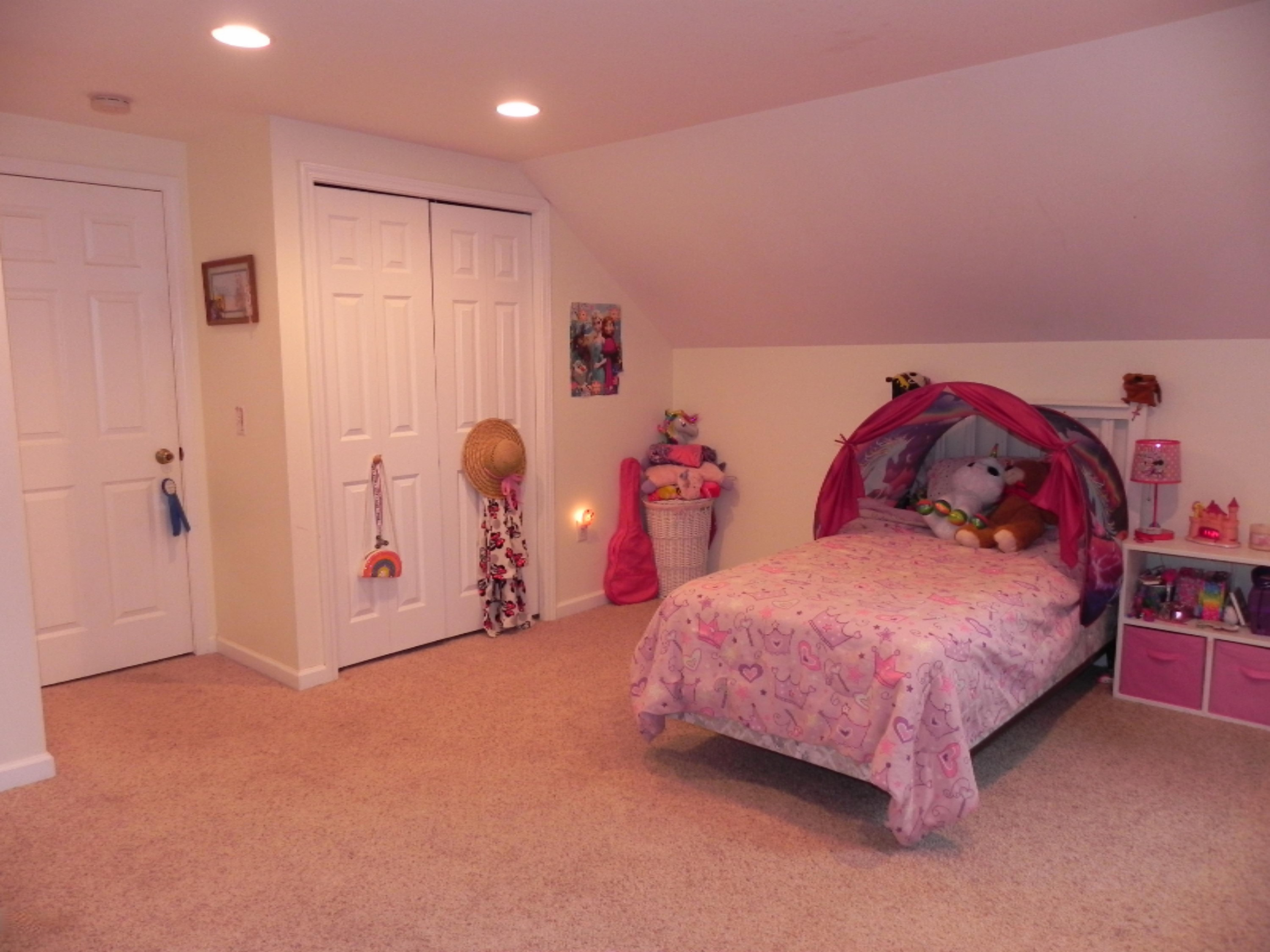 210 West Sherwood Street Decatur, MI 49045 - Photo 20 of 29 DSCN5235