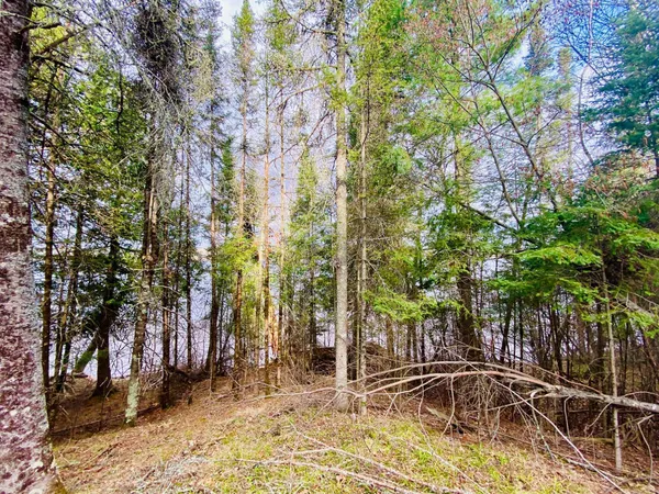 $282,000 | 11171 South Engstad Road, Solon Springs, WI 54873