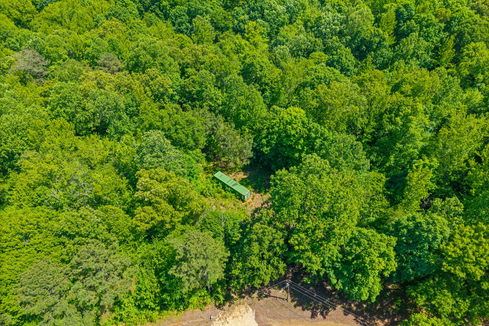 1530 Spring Hill Road Paris, TN 38242 - Photo 15 of 20 Gallery Image 15
