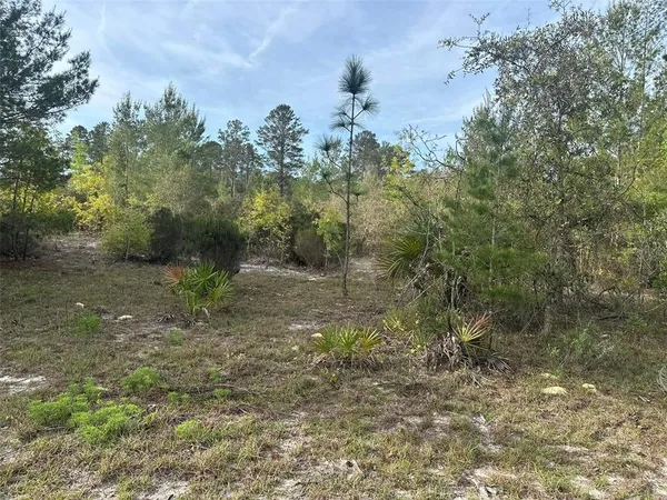 $131,056 | 18055 Southwest 200 Street, Archer, FL 32618
