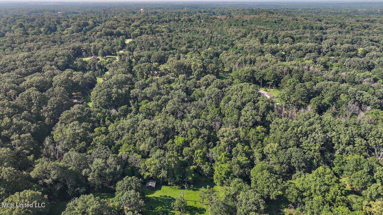 Castlewood Drive Clinton, MS 39056 - Photo 10 of 22 06-141 Castlewood Dr