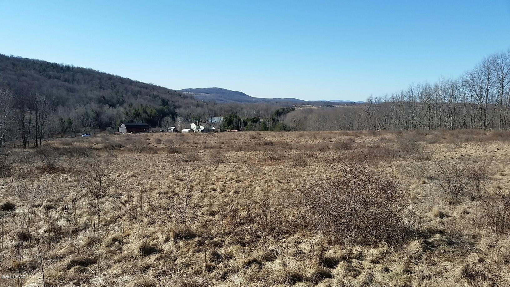 1297 Red Abbott Road Union Dale, PA 18470 - Photo 3 of 11