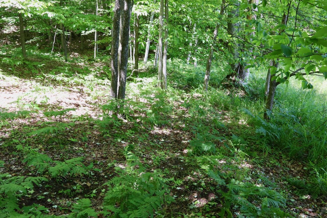 6182 Hamilton Road Harrison, MI 48625 - Photo 46 of 77