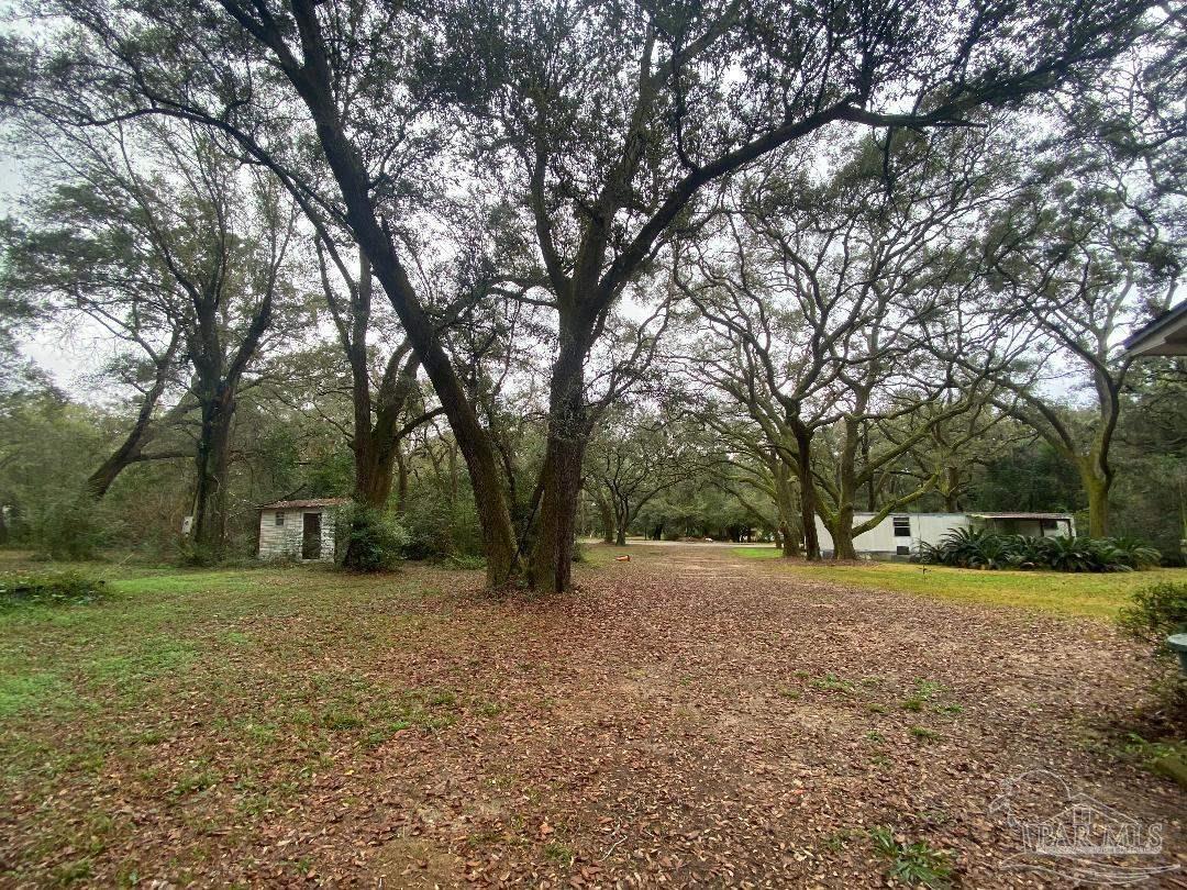 3601 Muldoon Road, Unit D Pensacola, FL 32526 - Photo 4 of 11 Gallery Image 4