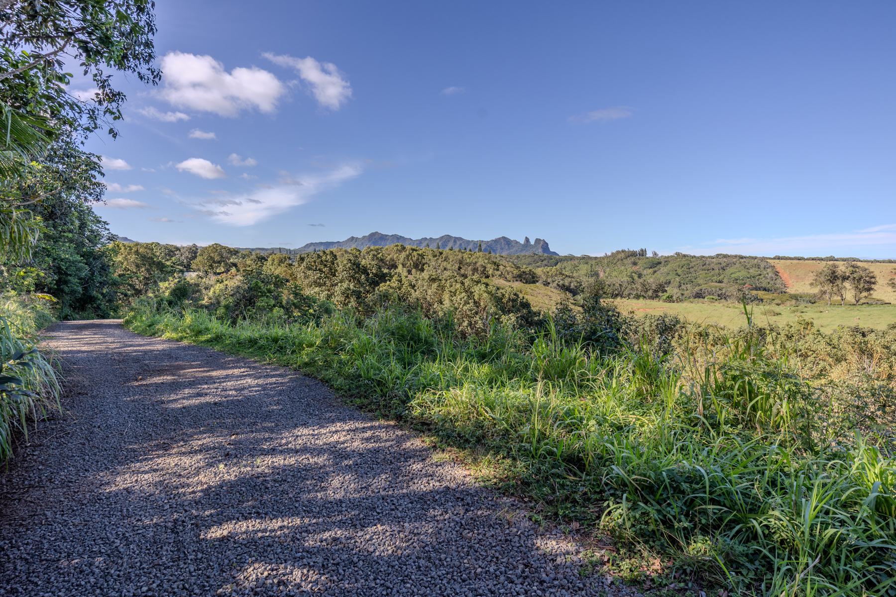5409 Lot 2 Laipo Road, Unit 2 Kapaa, HI 96746 - Photo 12 of 24 a view of a city with lush green forest