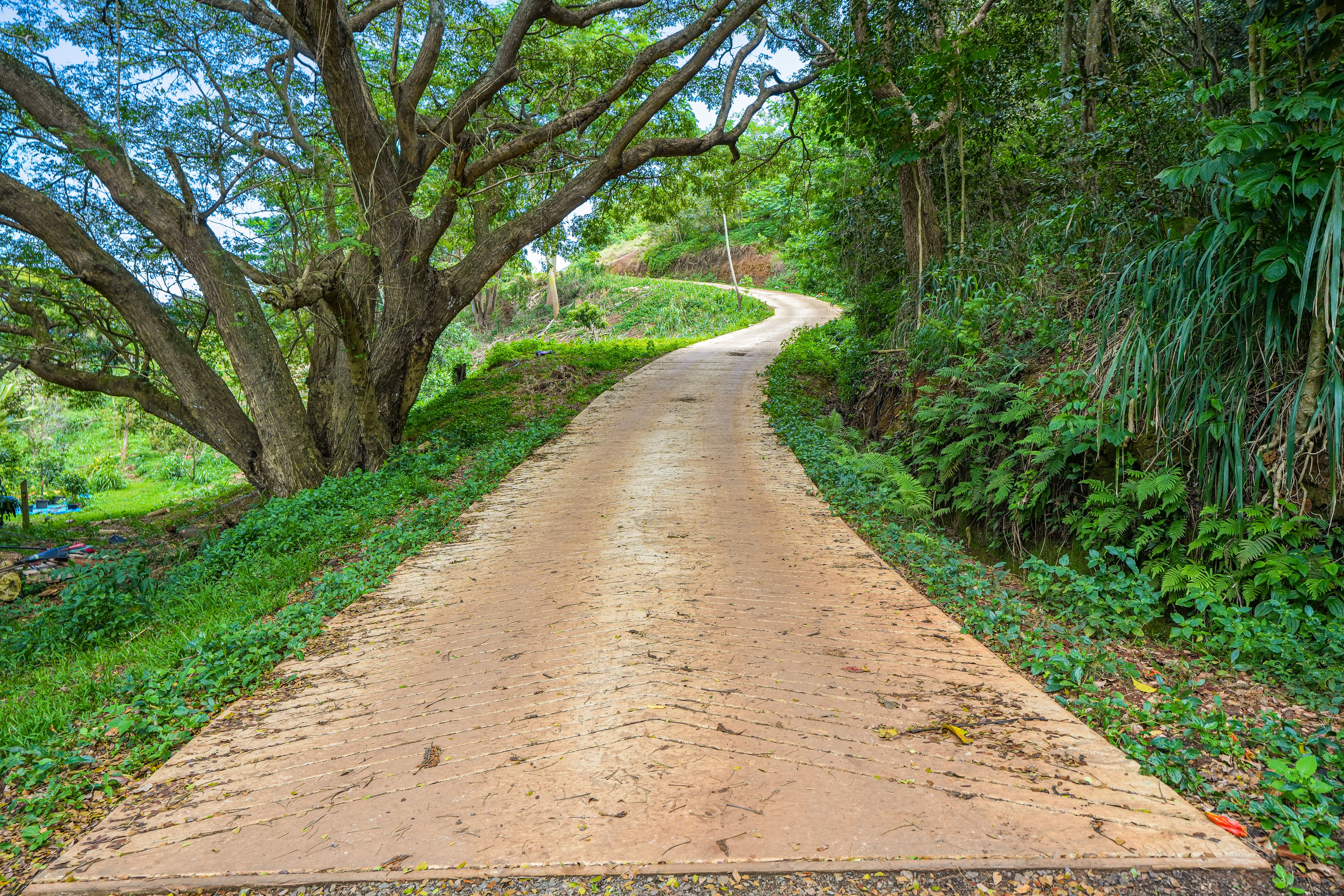 5409 Lot 2 Laipo Road, Unit 2 Kapaa, HI 96746 - Photo 16 of 24 a view of a pathway with a yard