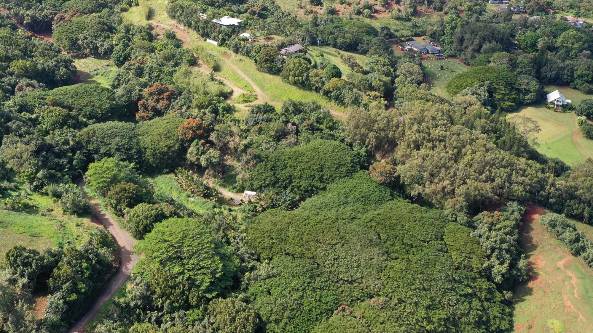 5409 Lot 2 Laipo Road, Unit 2 Kapaa, HI 96746 - Photo 2 of 24 an aerial view of residential houses with outdoor space and trees
