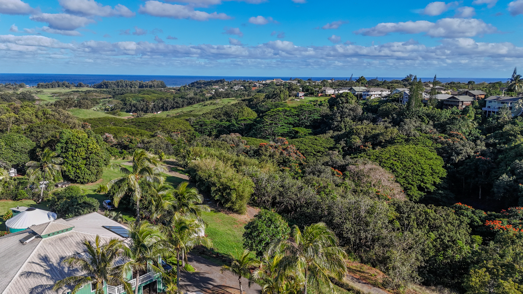 5409 Lot 2 Laipo Road, Unit 2 Kapaa, HI 96746 - Photo 3 of 24 an aerial view of a forest