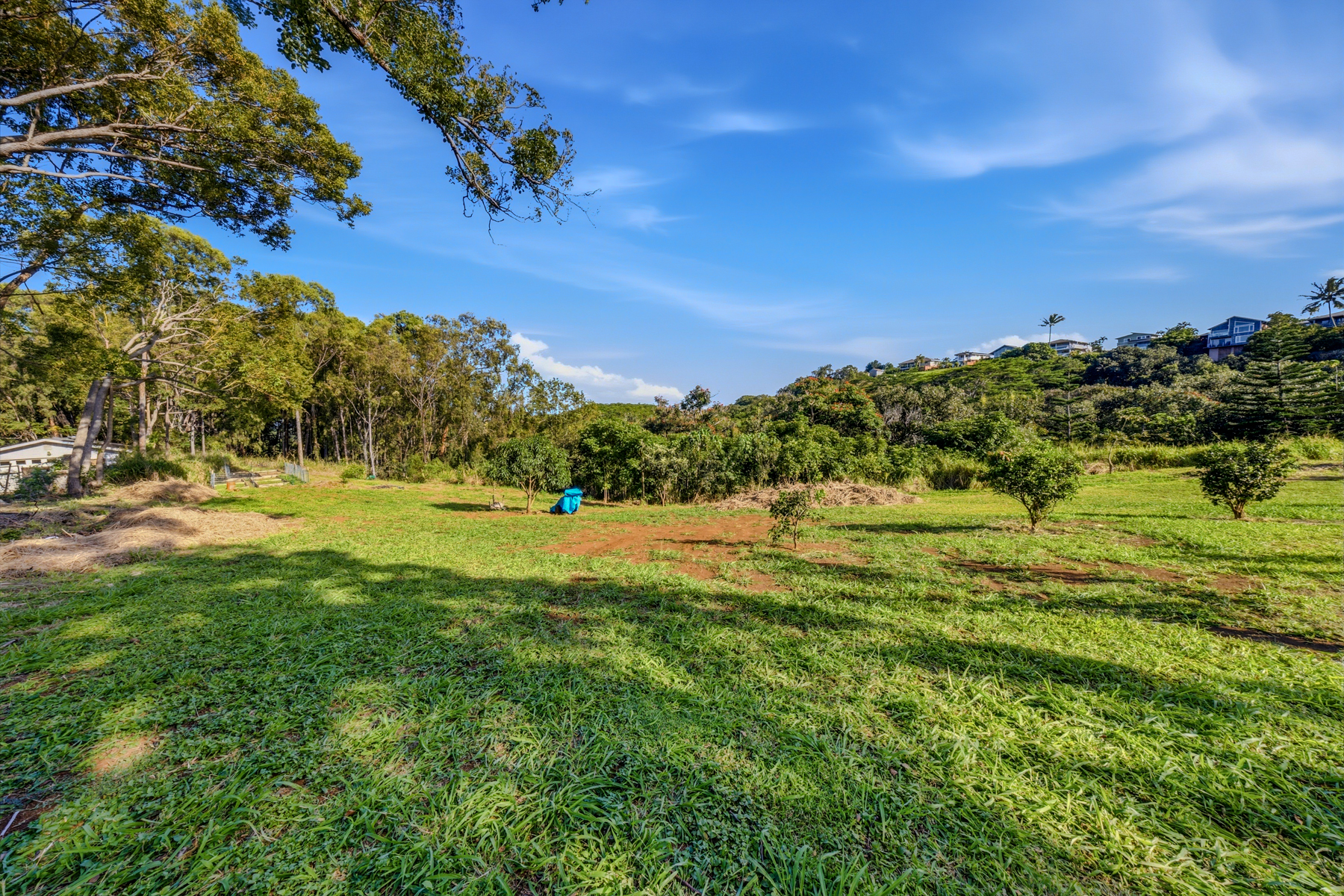 5409 Lot 2 Laipo Road, Unit 2 Kapaa, HI 96746 - Photo 7 of 24 a view of yard with swimming pool and green space