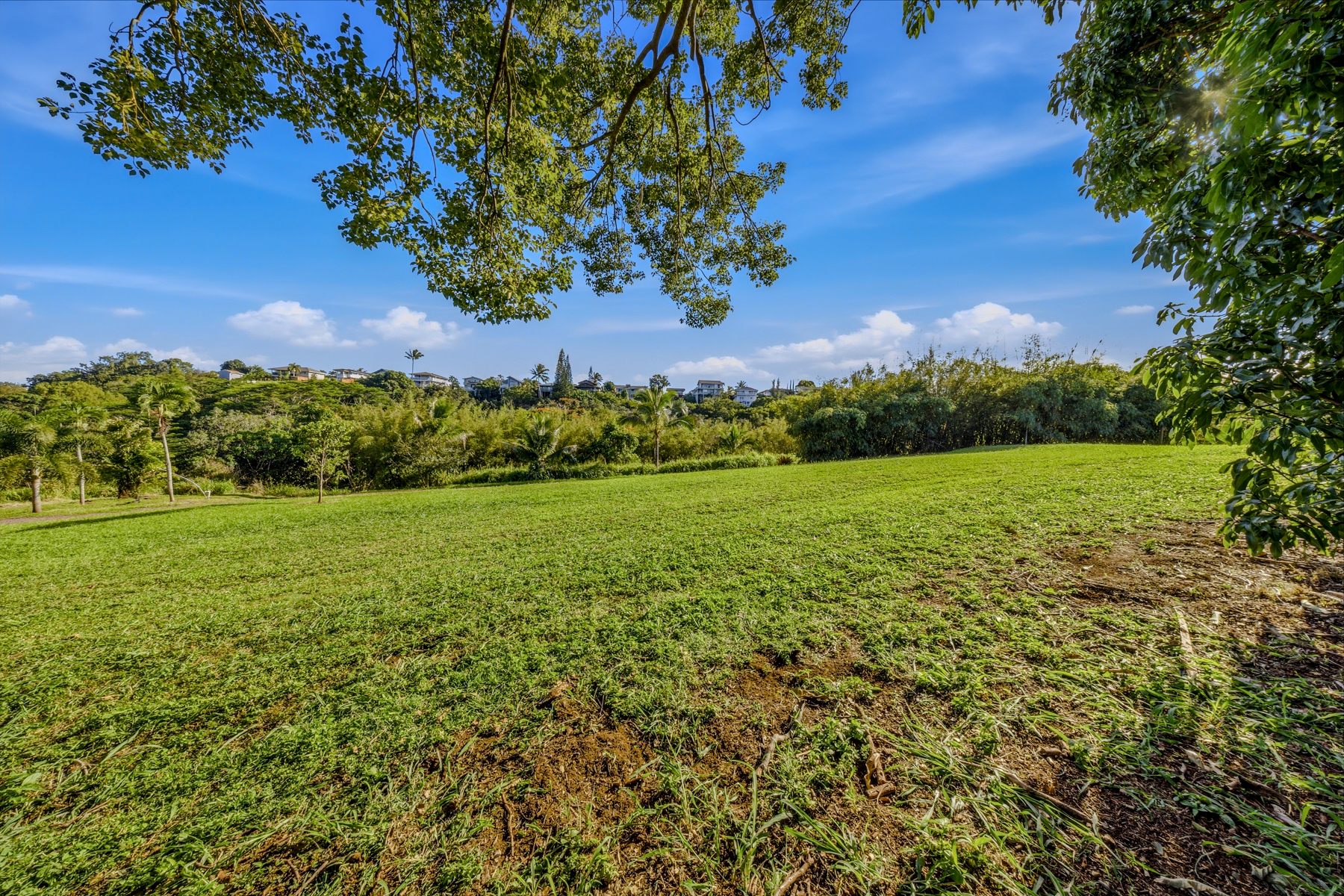 5409 Lot 2 Laipo Road, Unit 2 Kapaa, HI 96746 - Photo 9 of 24 a view of an outdoor space and a yard