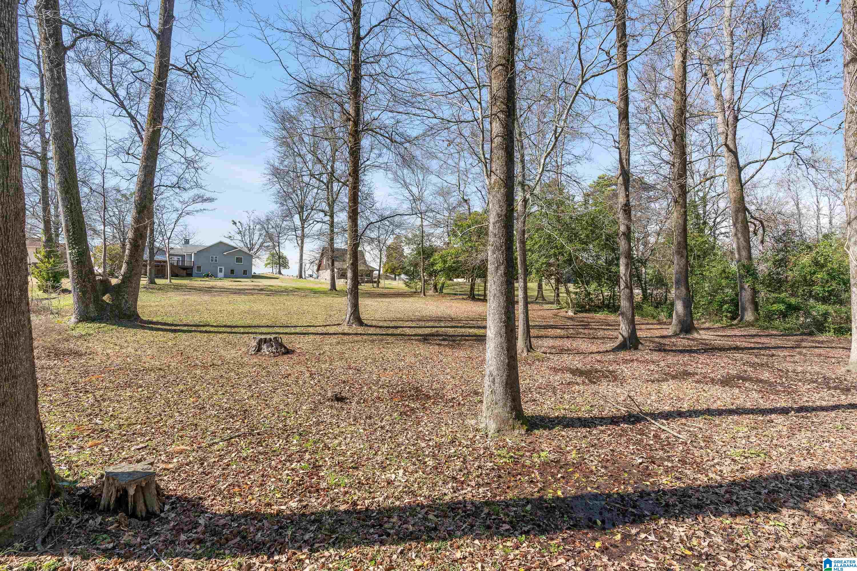 521 Shades Crest Road Birmingham, AL 35226 - Photo 43 of 45