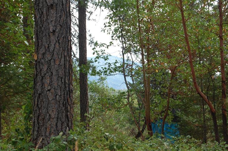 409 Hitching Post Road Grants Pass, OR 97526 - Photo 10 of 10 Additional Photo