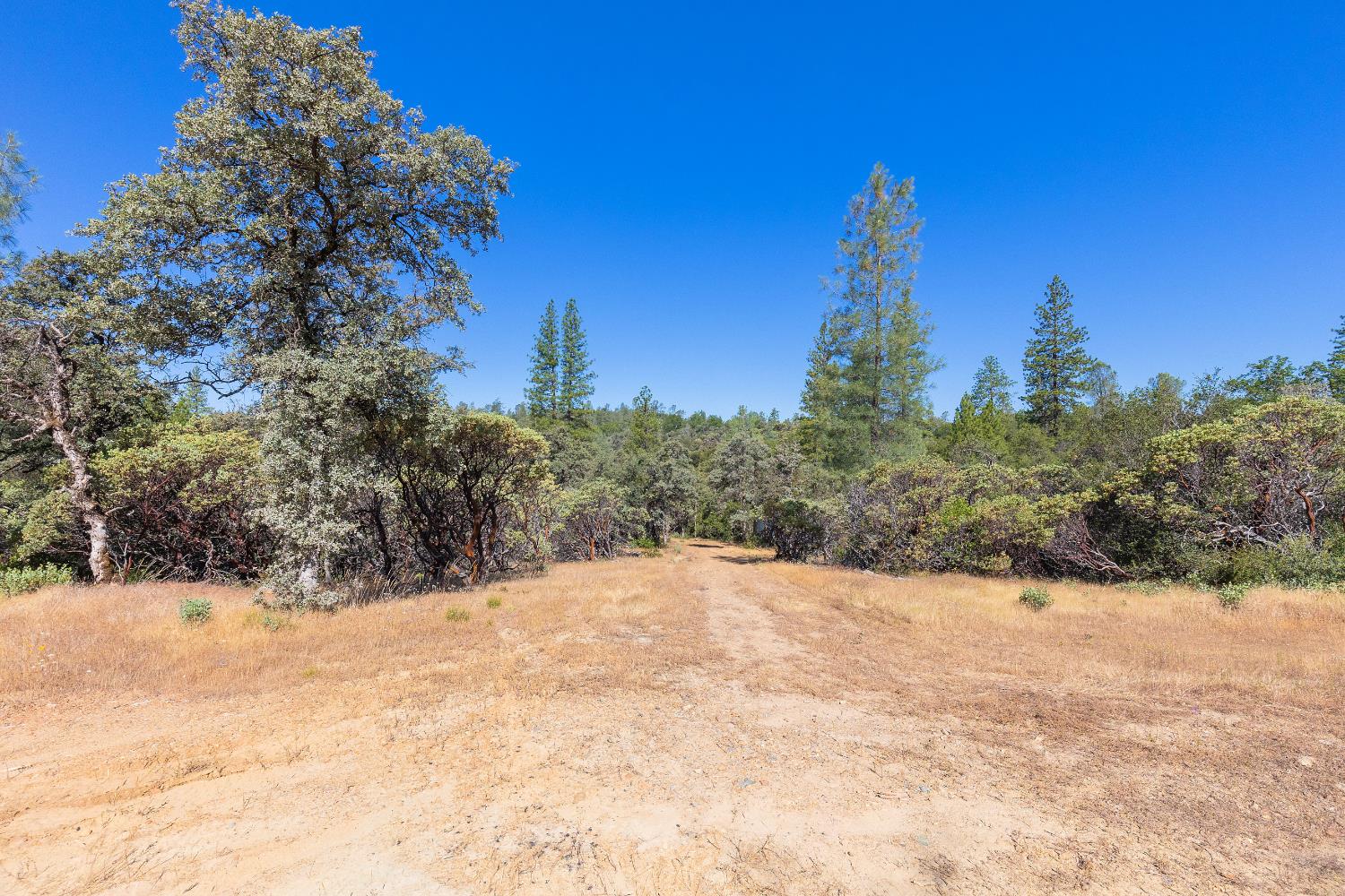 12996 Deadmans Flat Road Grass Valley, CA 95945 - Photo 10 of 12 a view of a yard covered with snow in front of house