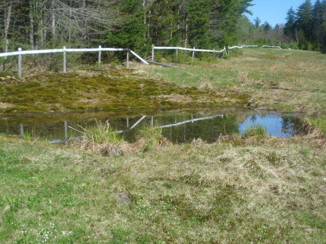 95 Black Road South Searsport, ME 04974 - Photo 120 of 140 Jodie Hermann Searsport 086