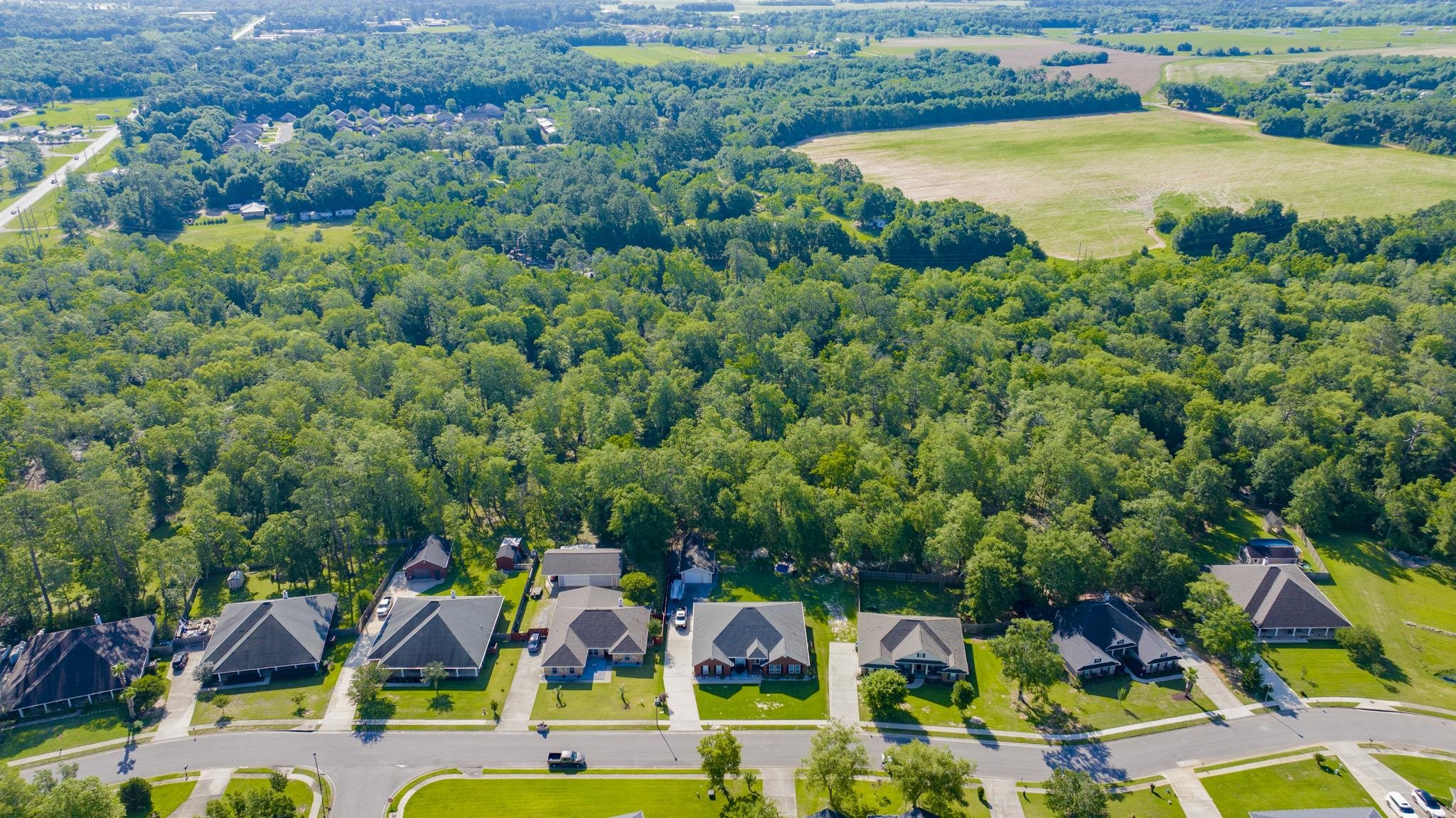 11749 Venice Boulevard Foley, AL 36535 - Photo 43 of 43 Aerial View