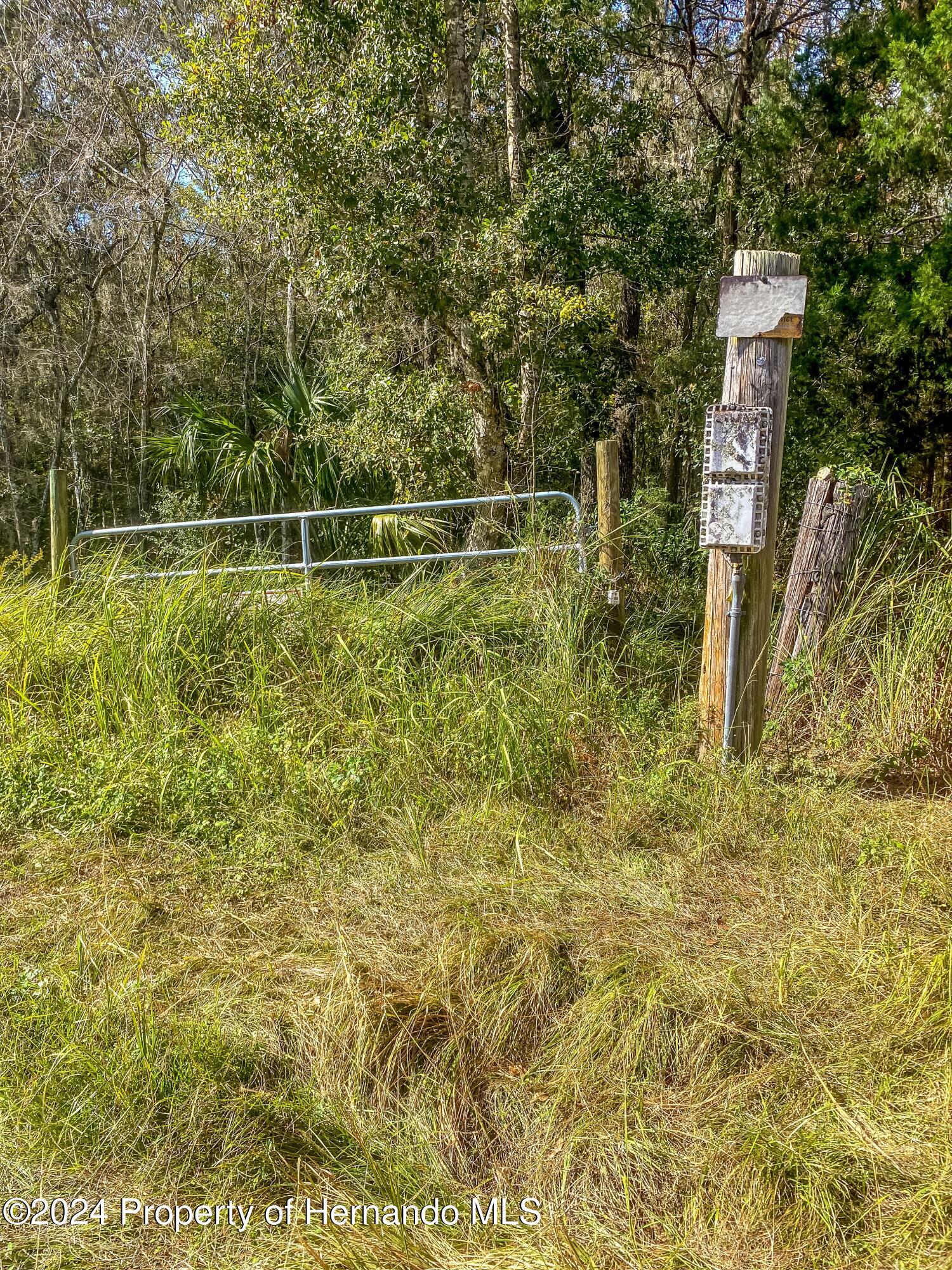 0 Citrus Way Brooksville, FL 34614 - Photo 13 of 19 a backyard of a house with lots of green space