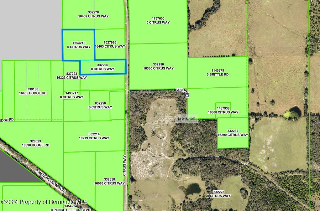 0 Citrus Way Brooksville, FL 34614 - Photo 17 of 19