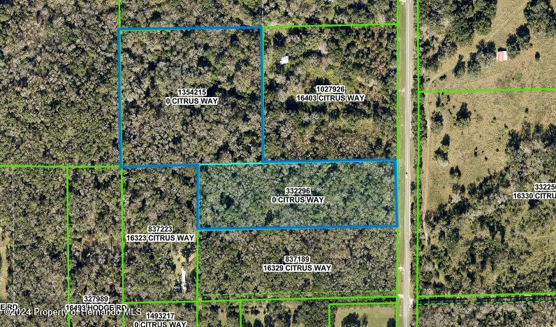 0 Citrus Way Brooksville, FL 34614 - Photo 18 of 19 a view of a garden