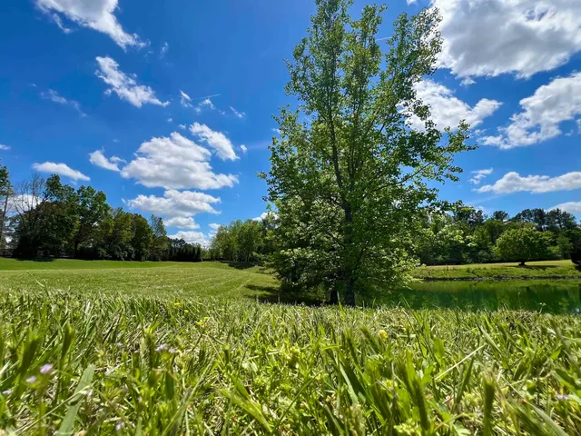 a view of a garden with a lake