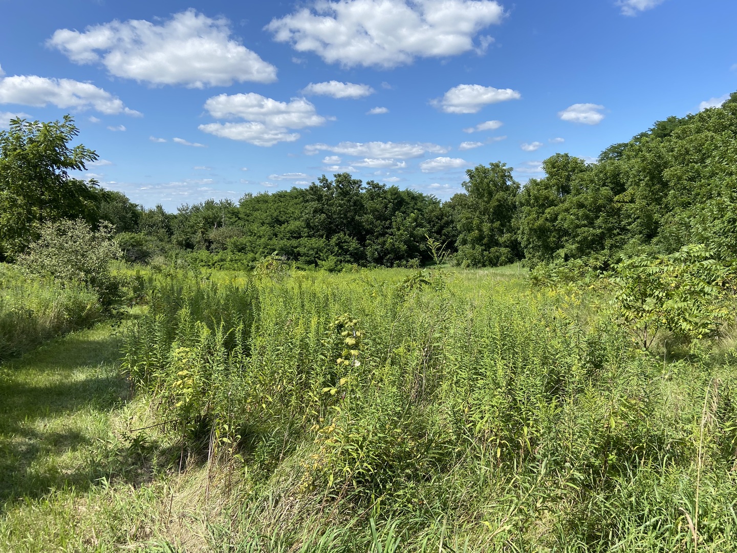 5409 Pagles Road Harvard, IL 60033 - Photo 6 of 10 a view of a big yard with plants and a garden