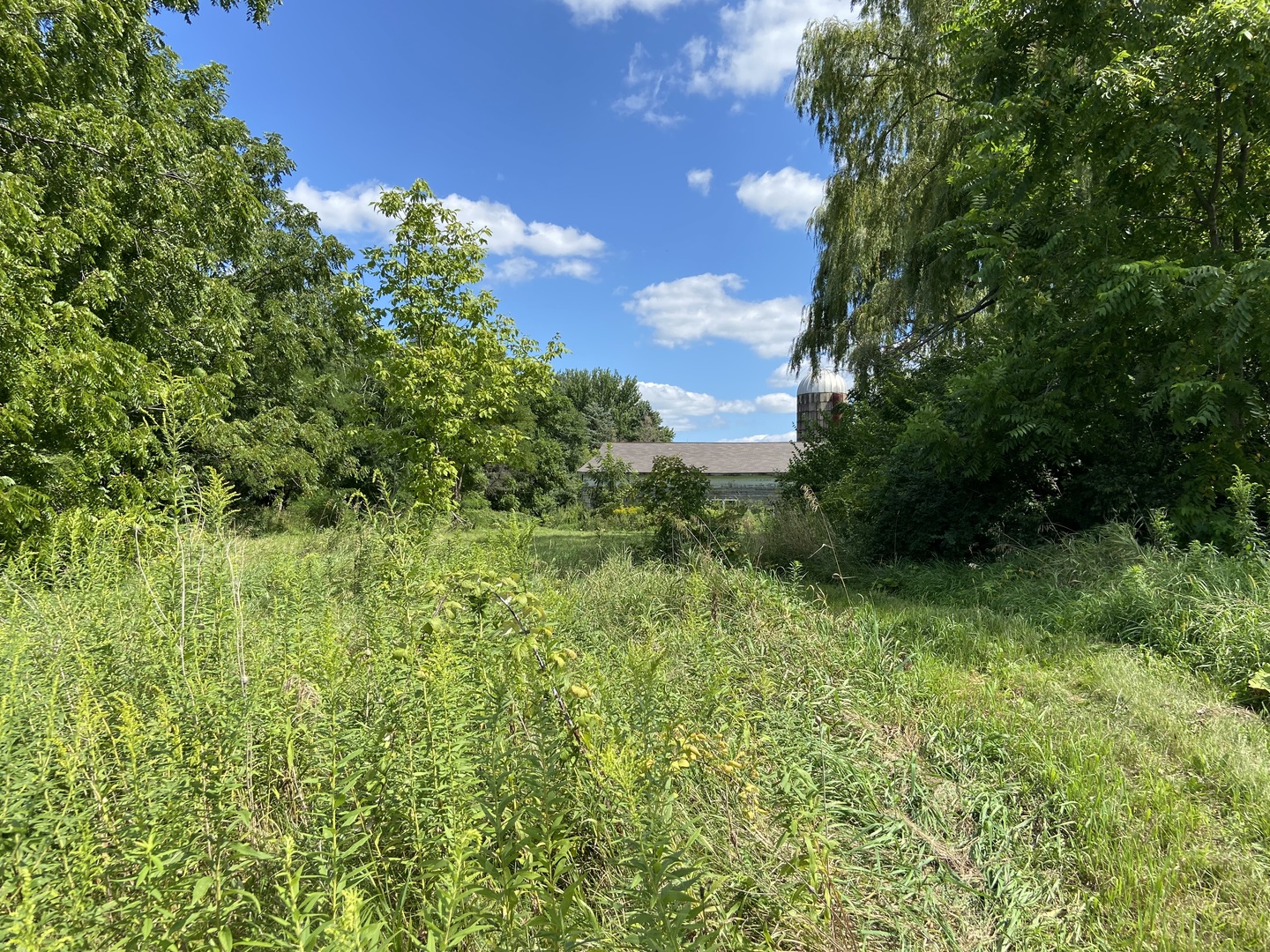 5409 Pagles Road Harvard, IL 60033 - Photo 8 of 10 a view of a garden