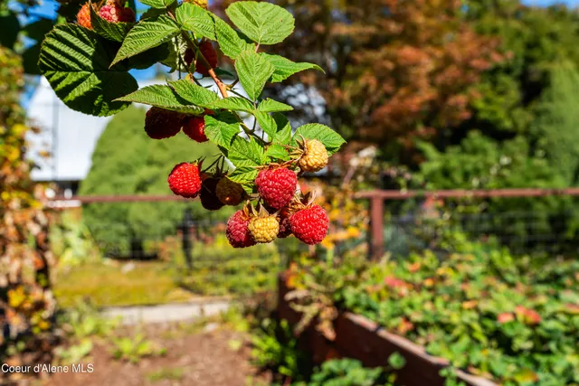 $1,295,000 | 7535 North Mt Carrol Street, Dalton Gardens, ID 83815