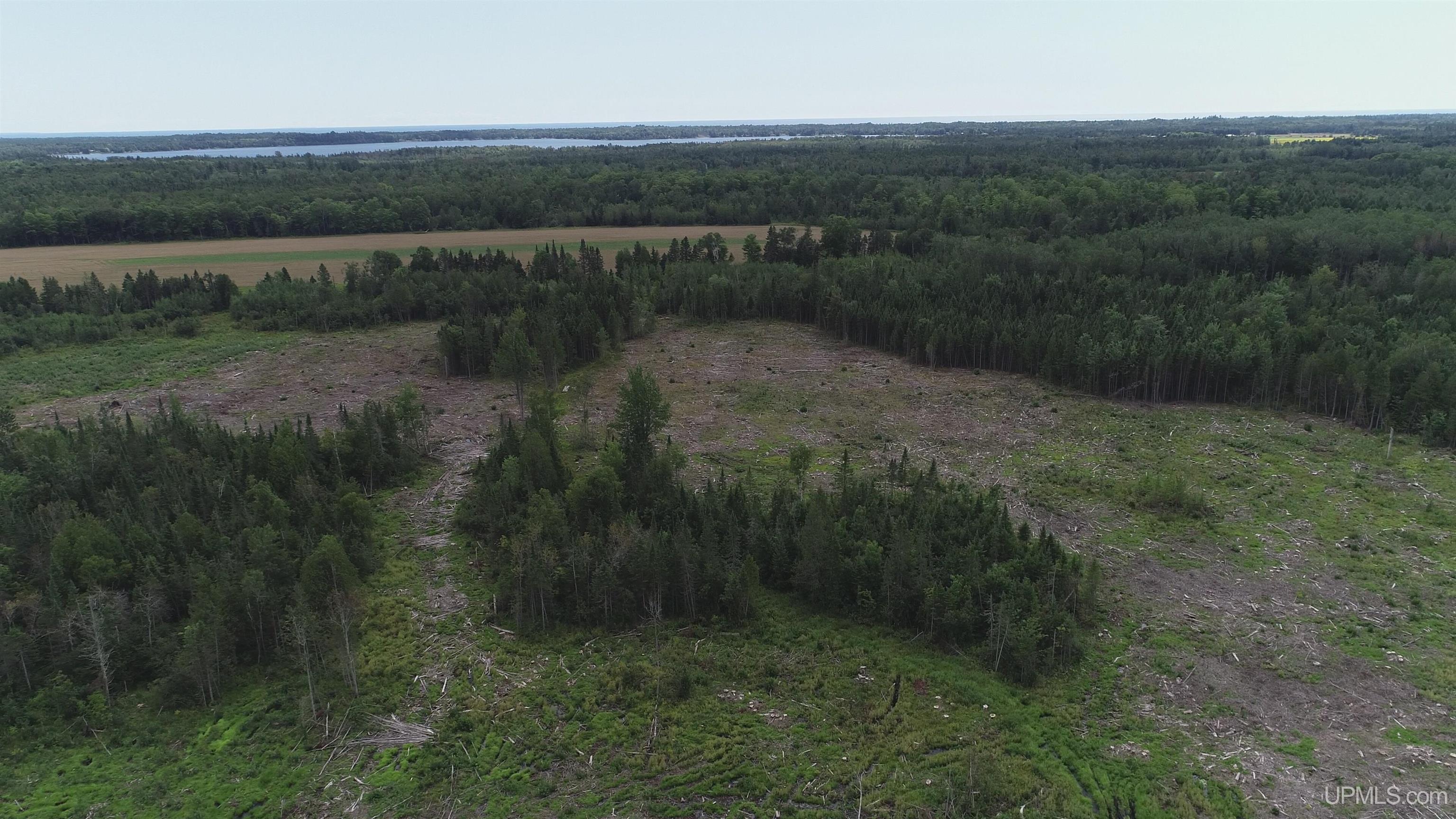 160-acres Halverson Road Gulliver, MI 49840 - Photo 34 of 35
