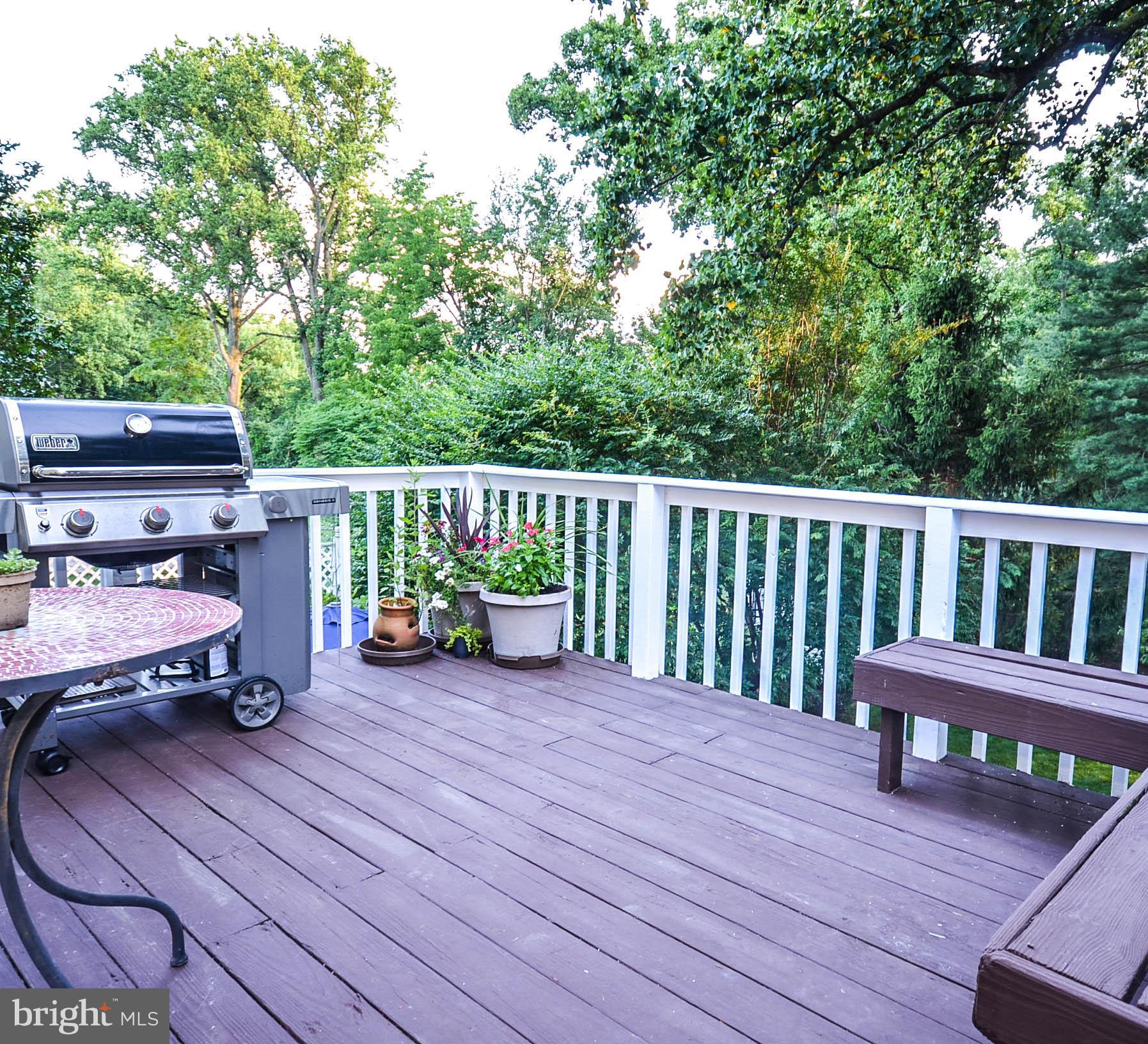 9912 Capitol View Avenue Silver Spring, MD 20910 - Photo 25 of 35 Expansive back deck w/spectacular view of backyard