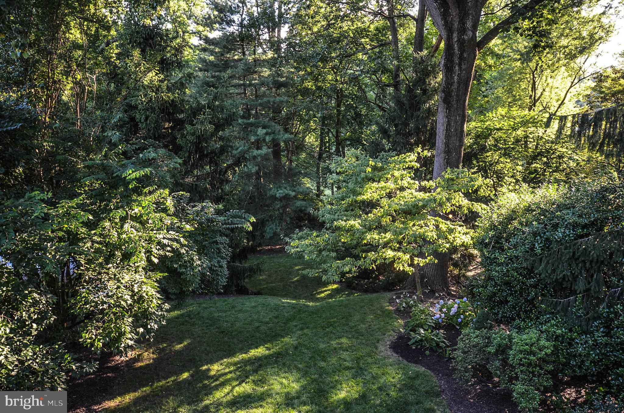 9912 Capitol View Avenue Silver Spring, MD 20910 - Photo 26 of 35 Colorful perennials, mature trees, privacy bushes