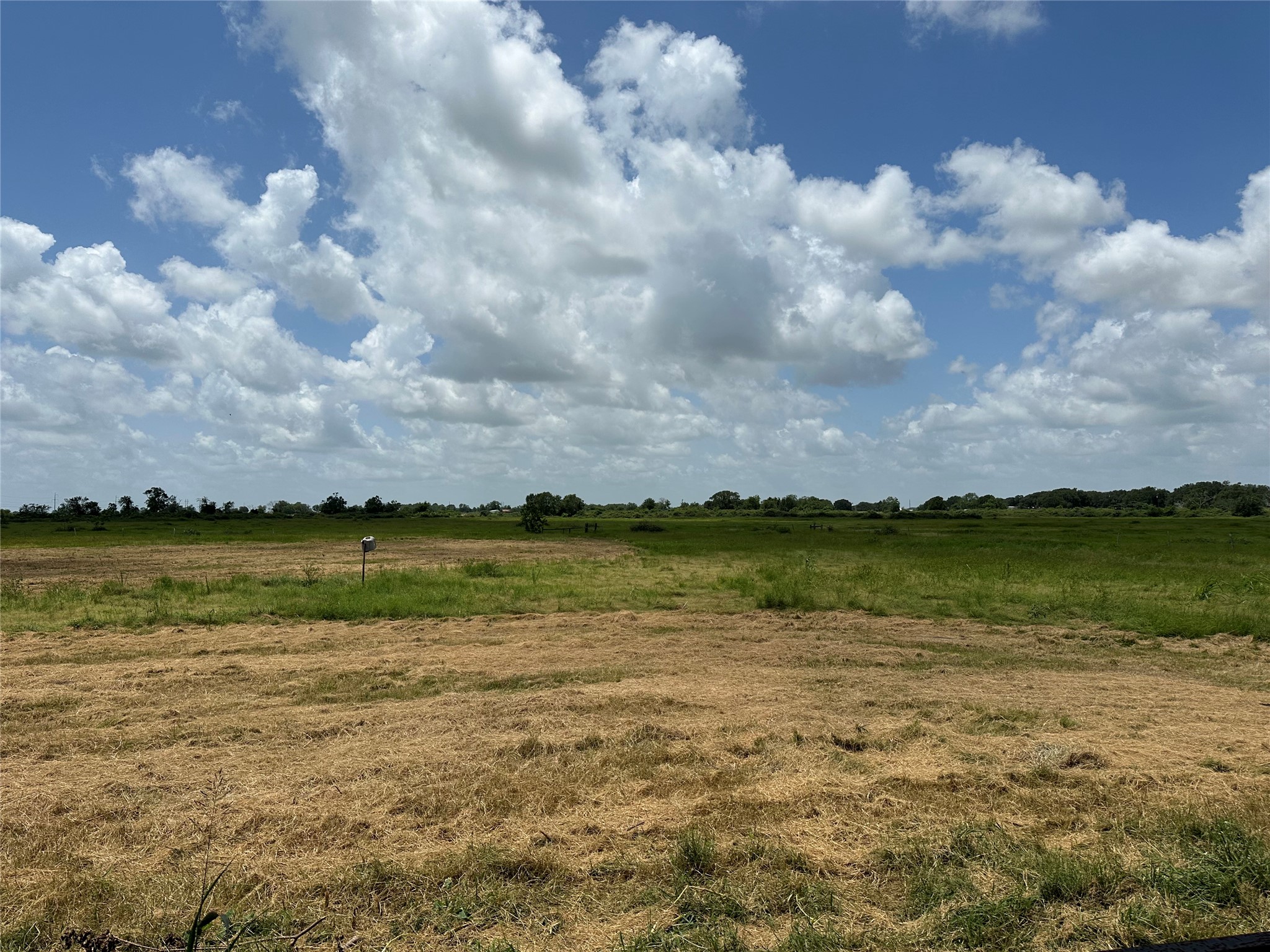 775 South FM 441 Road Louise, TX 77455 - Photo 10 of 14
