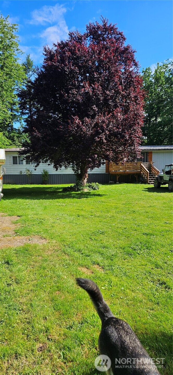 1009 Dyer Road Sultan, WA 98294 - Photo 1 of 1