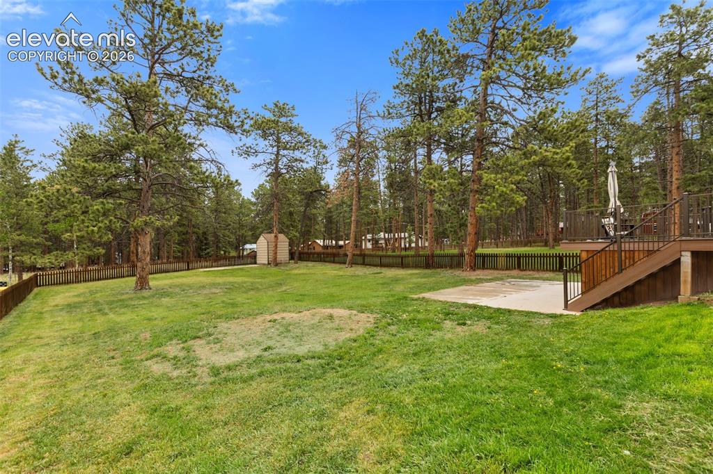 500 County Road Woodland Park, CO 80863 - Photo 6 of 47