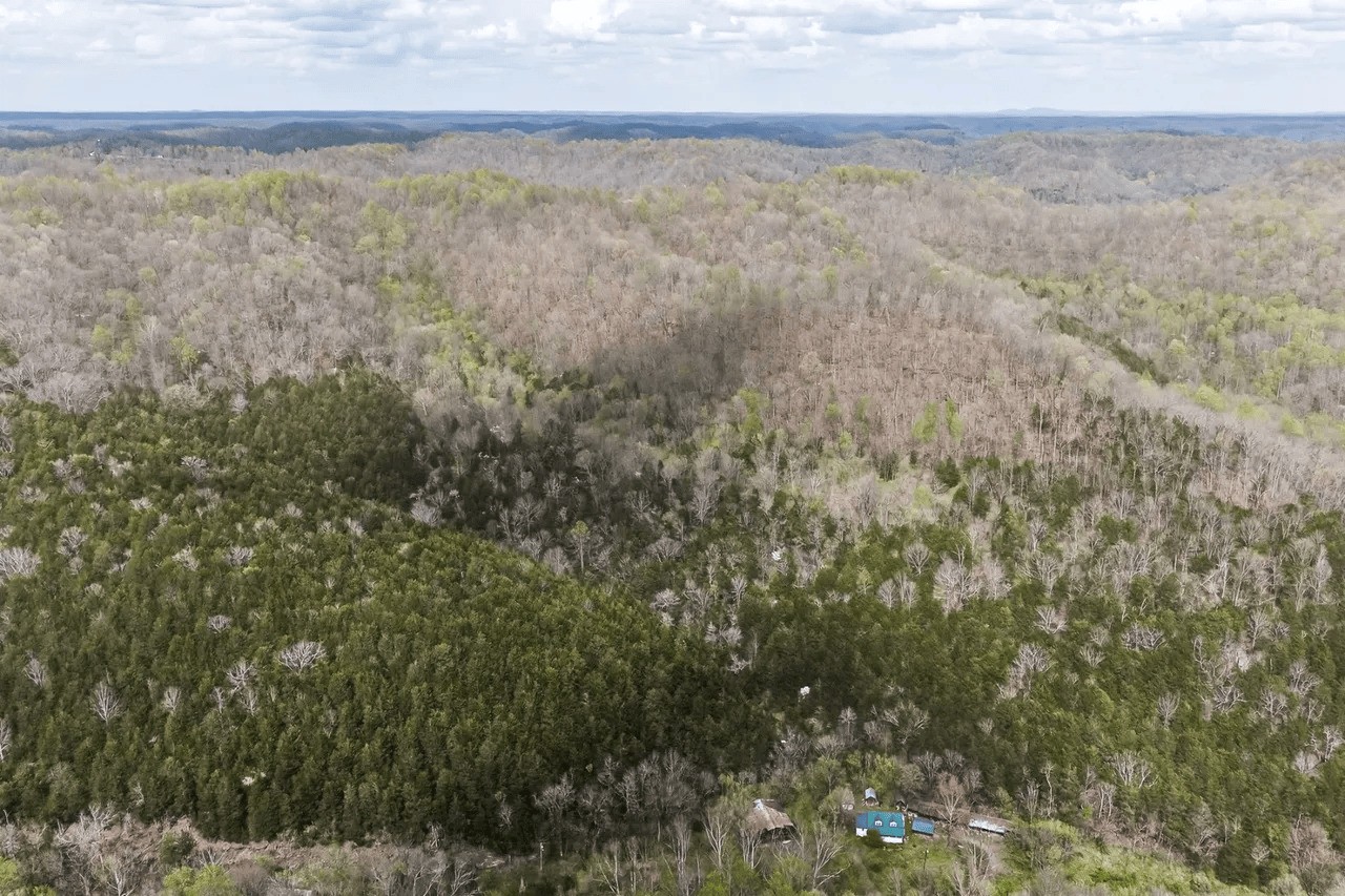 416 Hix Hollow Road Gainesboro, TN 38562 - Photo 2 of 10